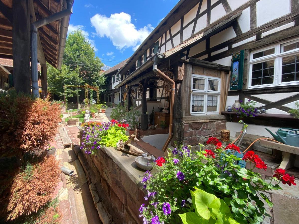 La Ferme De Grand Mere Furchhausen Екстериор снимка